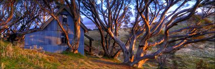 Cope Hut - VIC H (PBH3 00 34390)